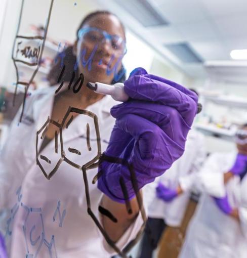 Chemistry students solving equations in the lab